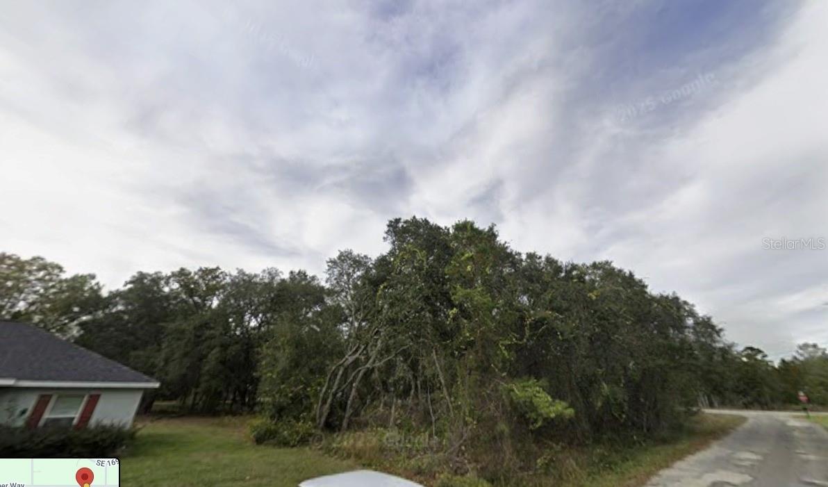 TBD FISHER WAY, OCKLAWAHA, FL — photo 7