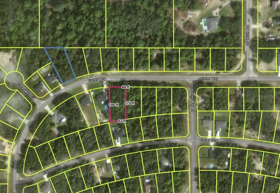 TBD FISHER WAY, OCKLAWAHA, FL — photo 2