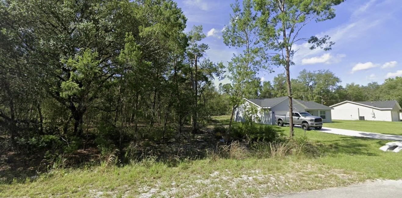 TBD FISHER WAY, OCKLAWAHA, FL — photo 4