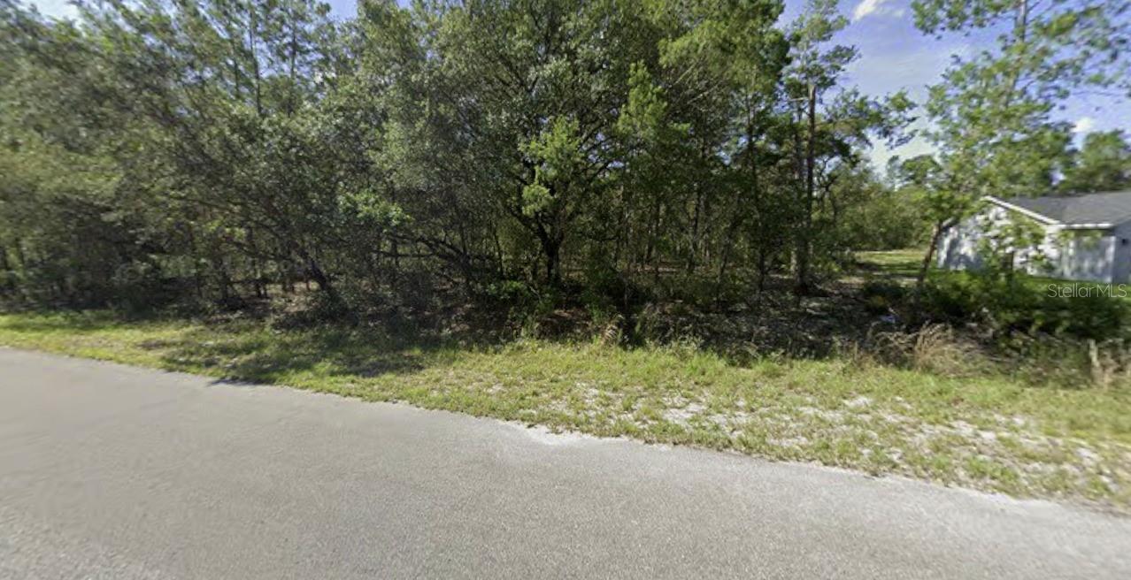 TBD FISHER WAY, OCKLAWAHA, FL — photo 5