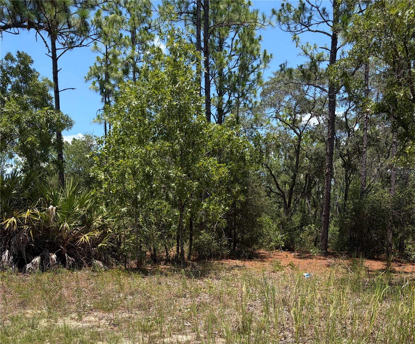3711 W NORWICK PL, CITRUS SPRINGS, FL — photo 2