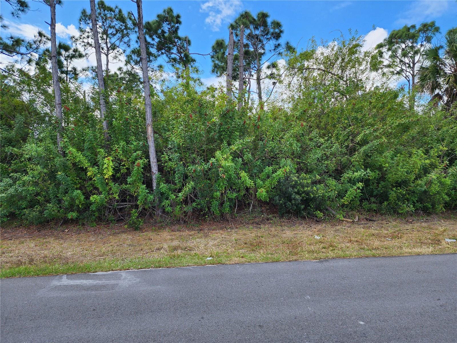 10421 REIMS AVE, ENGLEWOOD, FL — photo 2