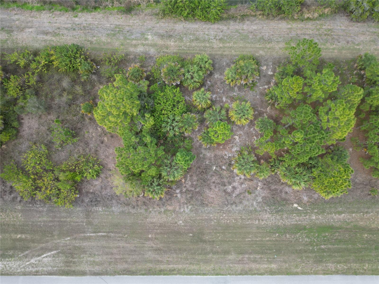 S RAINTREE BLVD, NORTH PORT, FL — photo 3