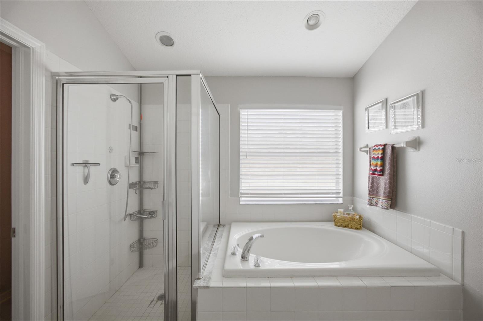 24927 PORTOFINO DR, LUTZ, FL — photo 20