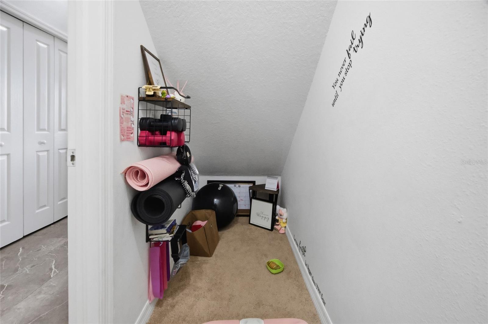 24927 PORTOFINO DR, LUTZ, FL — photo 31
