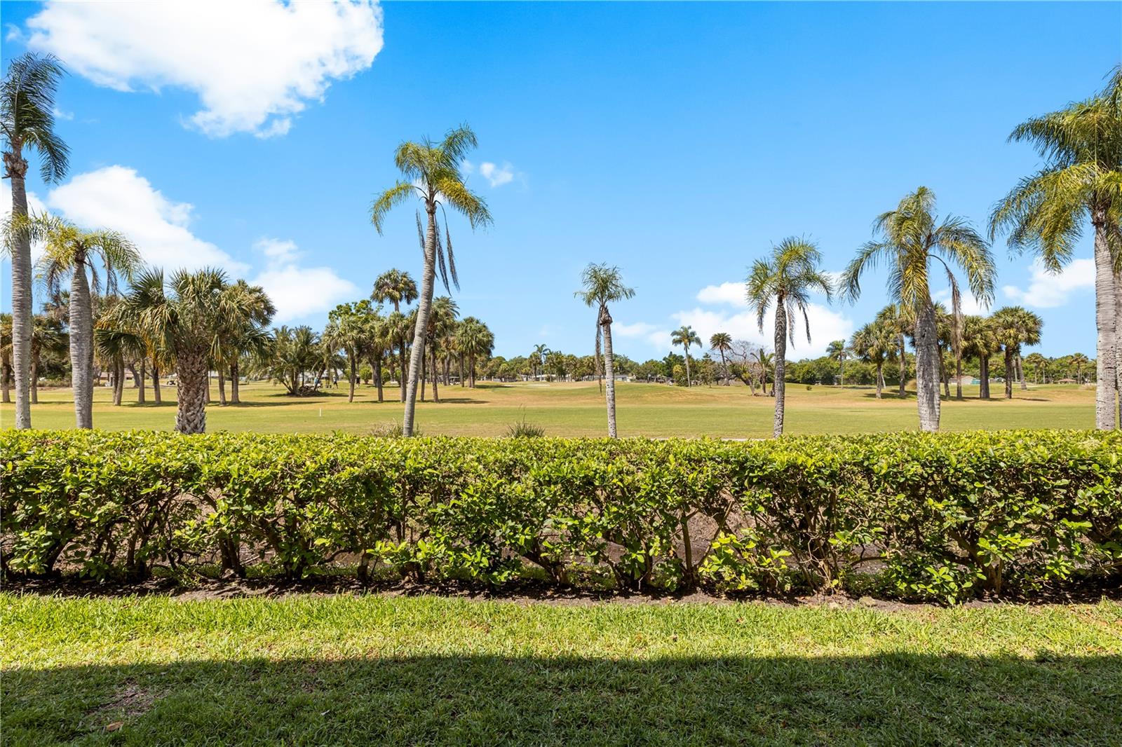 12300 VONN RD #6103, LARGO, FL — photo 34