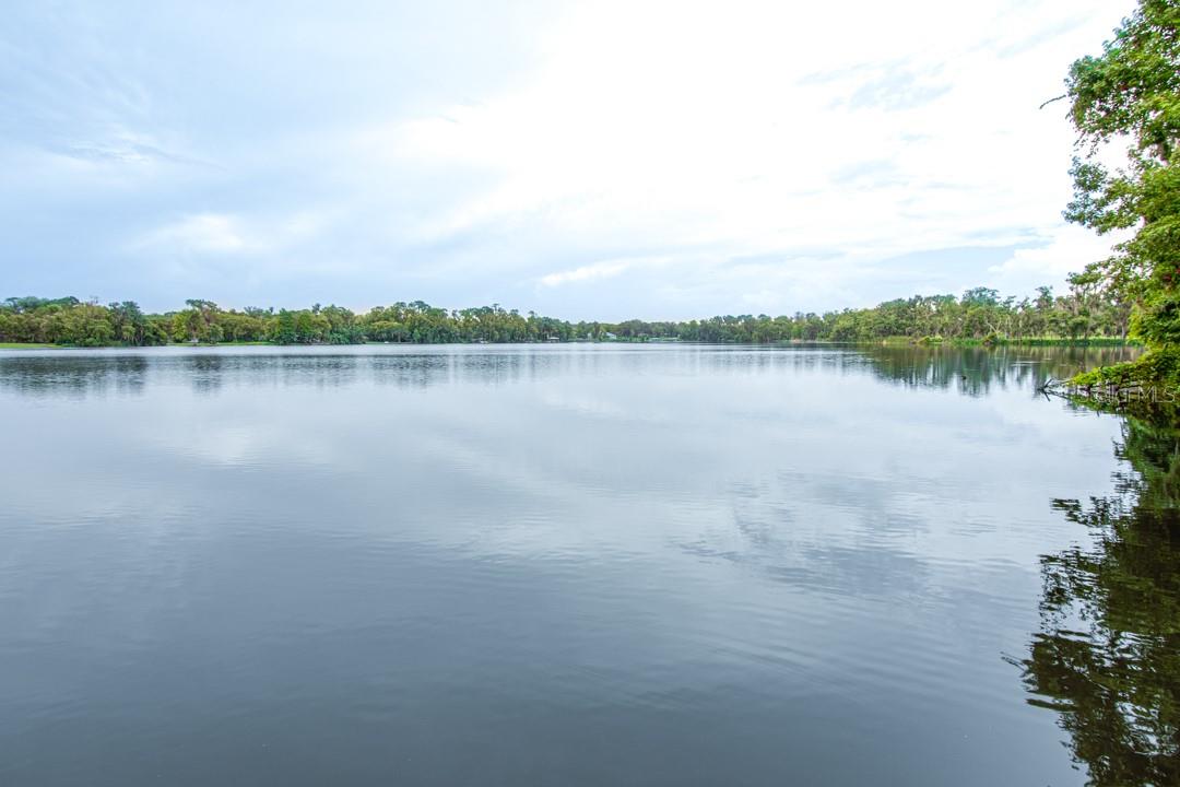 6546 BENDELOW DR, LAKELAND, FL — photo 32