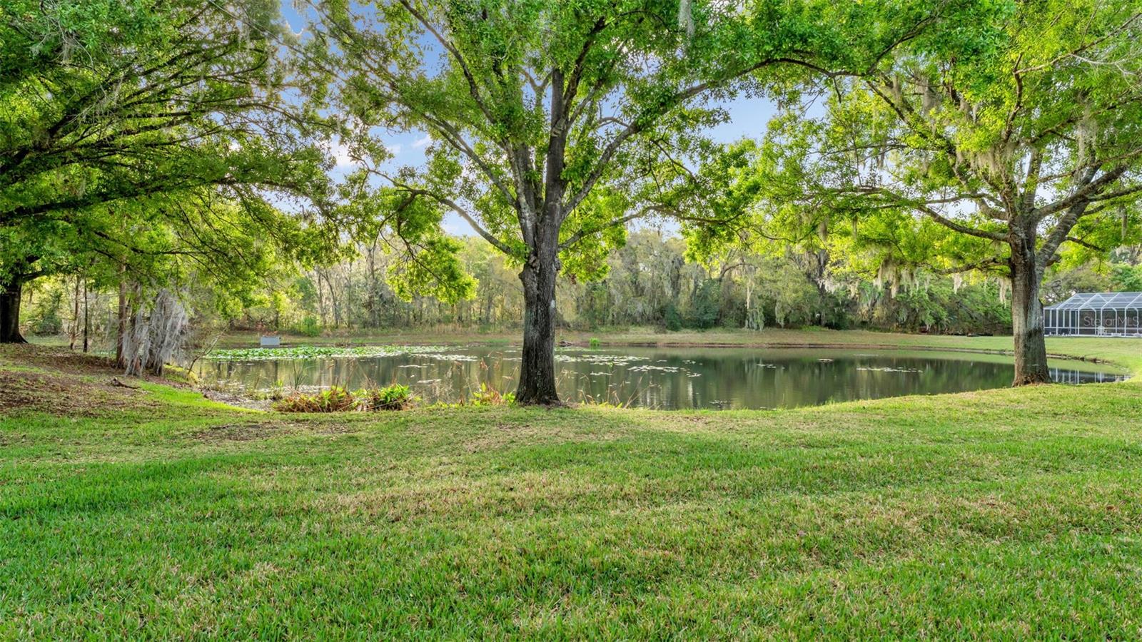 6540 LAKE CLARK DR, LAKELAND, FL — photo 30