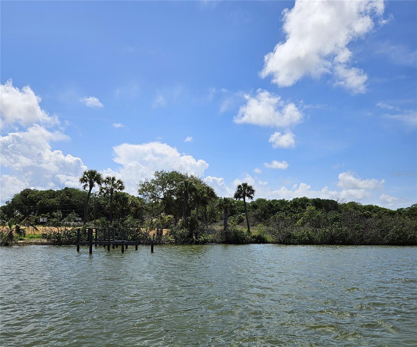 185 JONES FISH CAMP RD, EDGEWATER, FL — photo 12