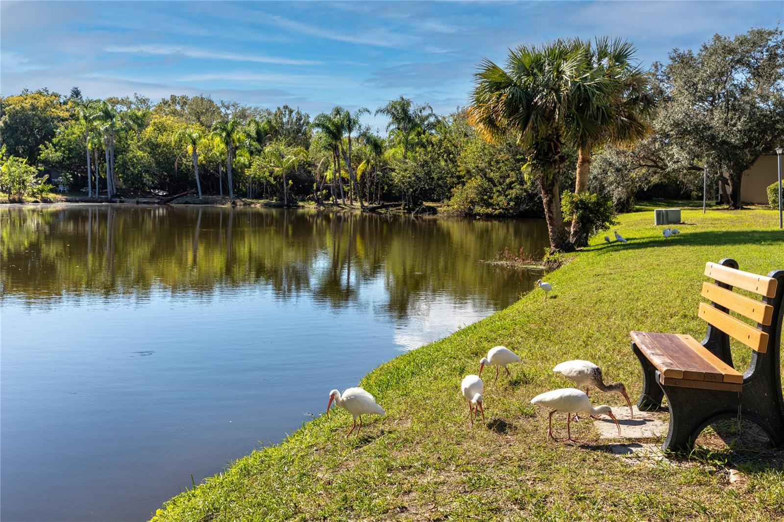 4215 E BAY DR #1806D, CLEARWATER, FL — photo 28
