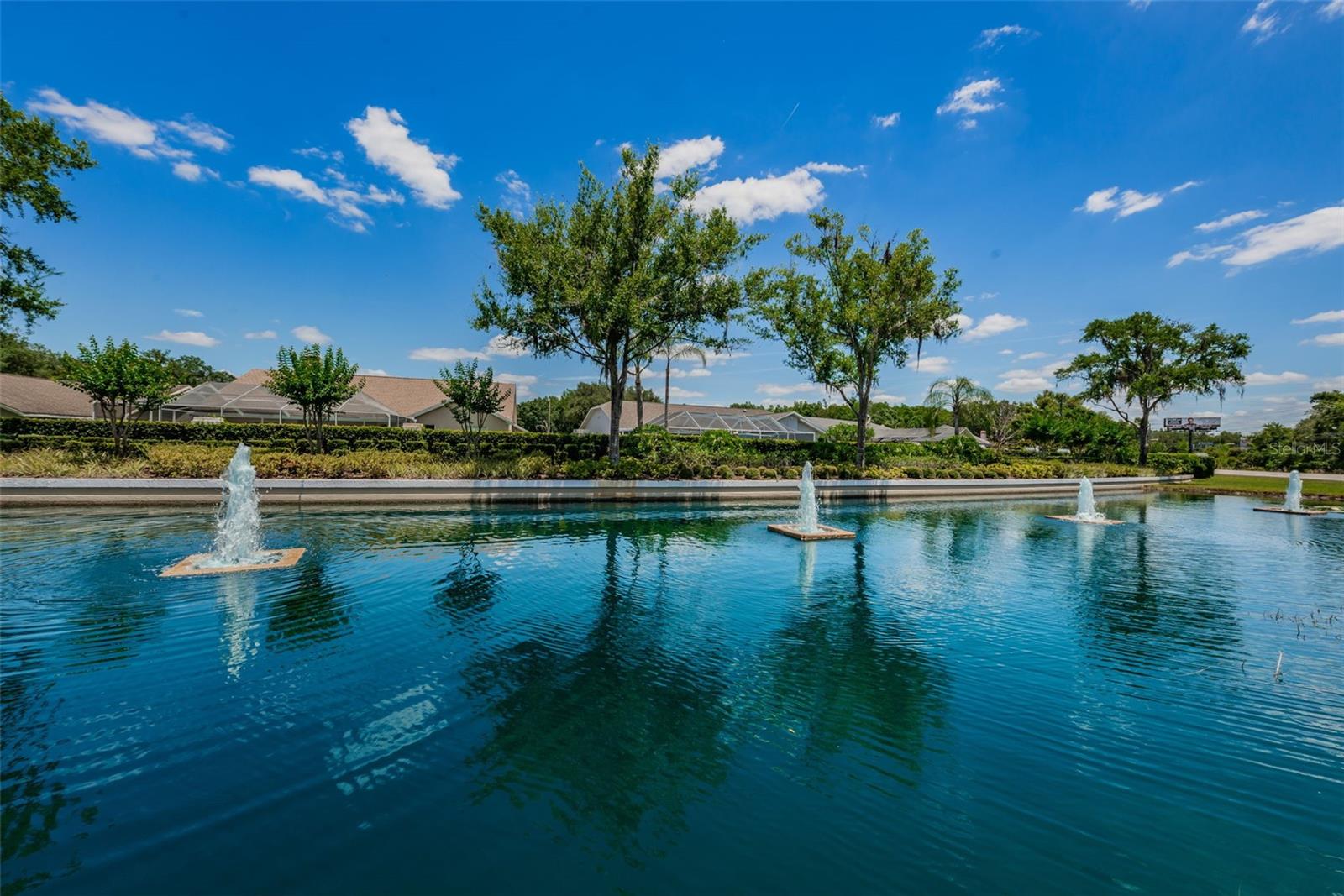 25841 CRIPPEN DR, LAND O LAKES, FL — photo 31