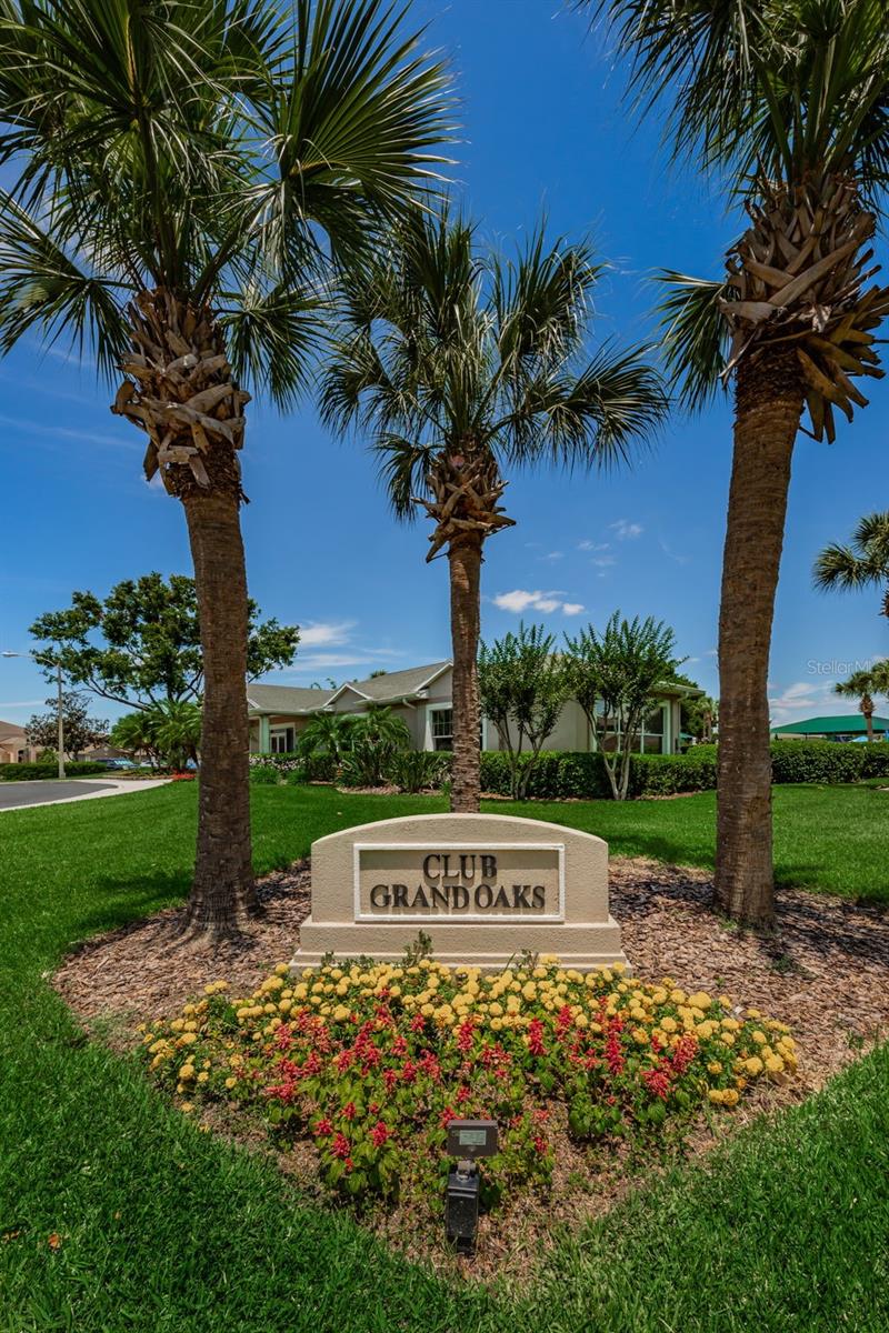 25841 CRIPPEN DR, LAND O LAKES, FL — photo 32
