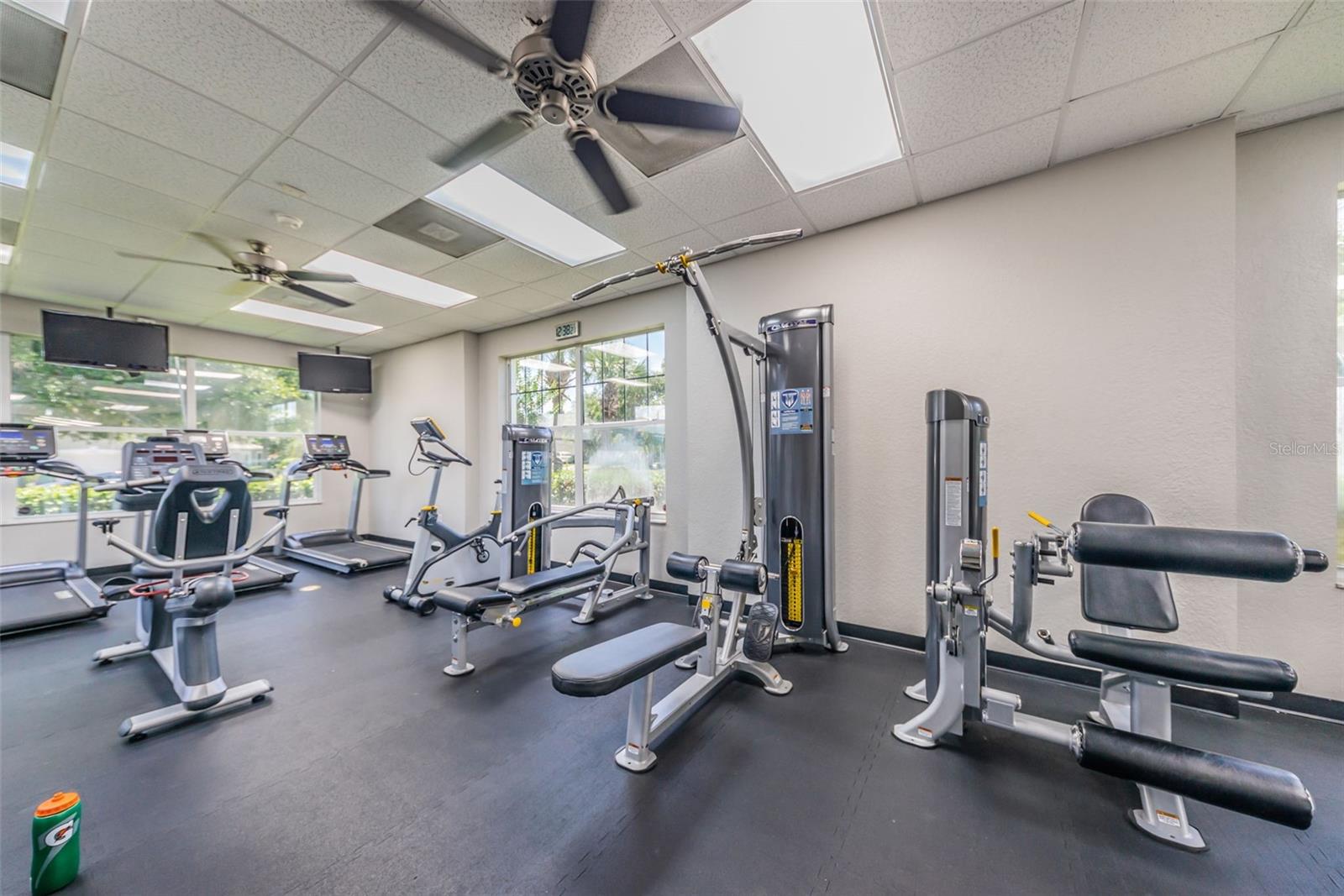25841 CRIPPEN DR, LAND O LAKES, FL — photo 36