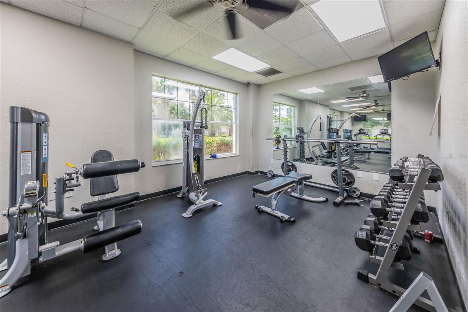 25841 CRIPPEN DR, LAND O LAKES, FL — photo 38
