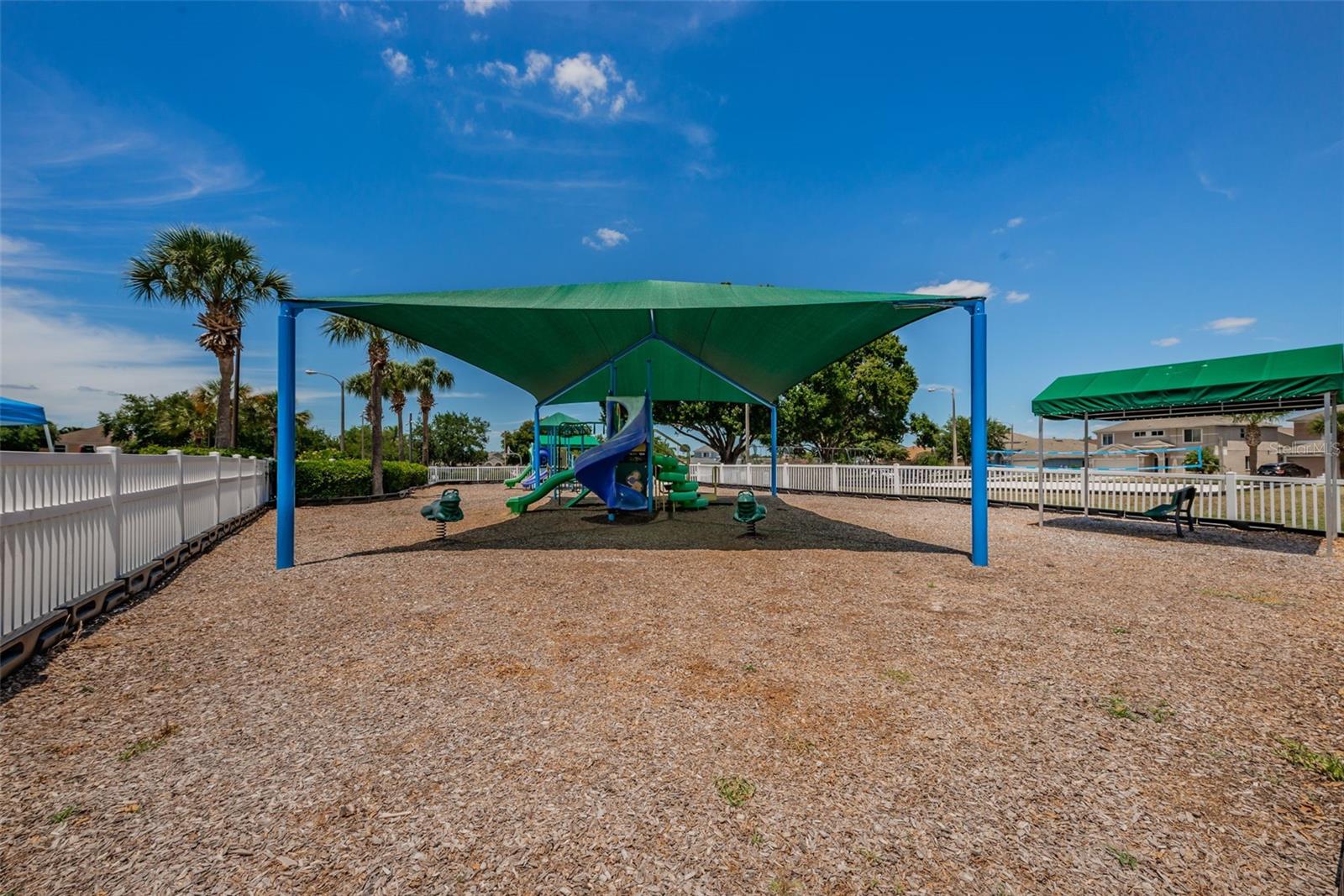 25841 CRIPPEN DR, LAND O LAKES, FL — photo 49