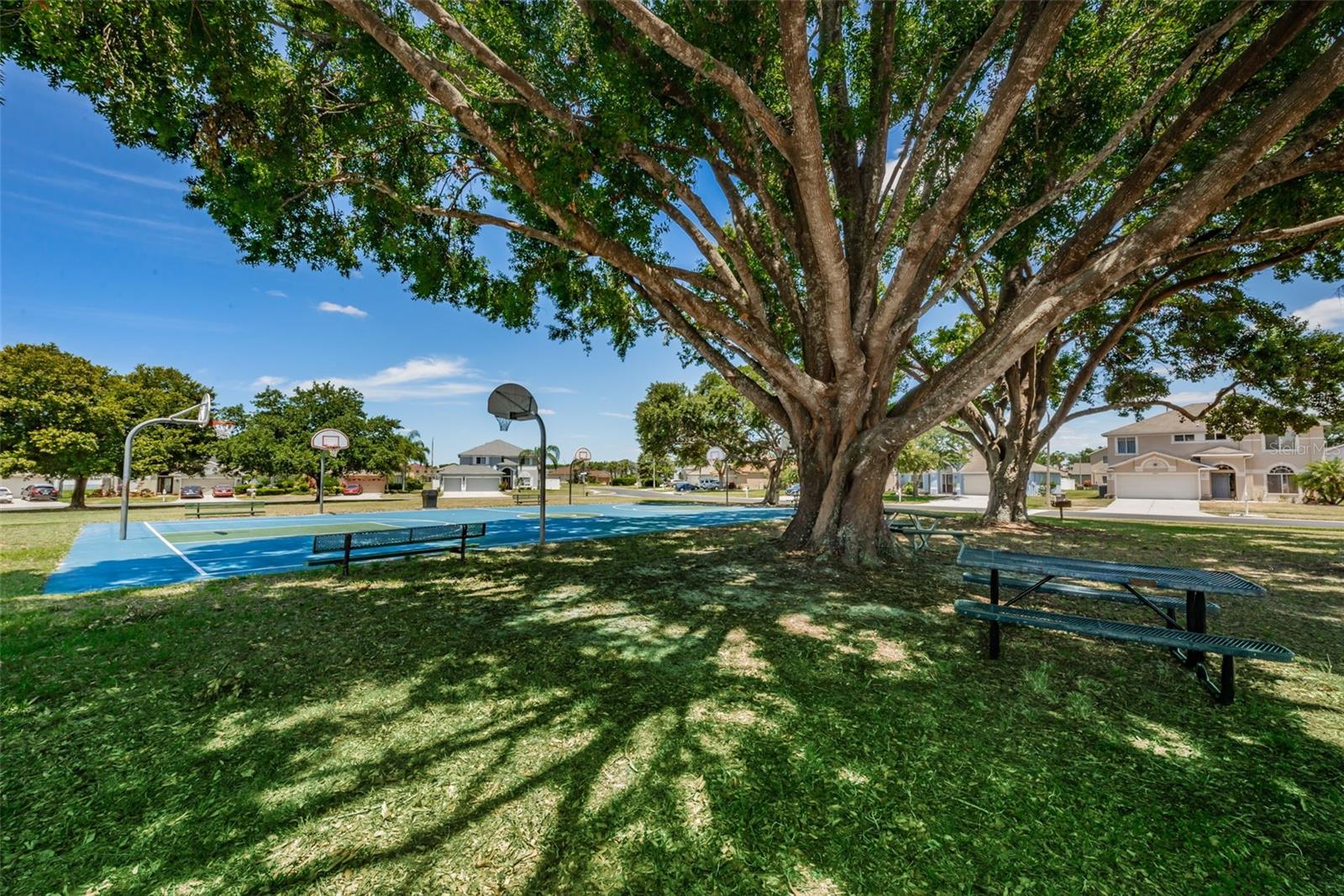 25841 CRIPPEN DR, LAND O LAKES, FL — photo 52