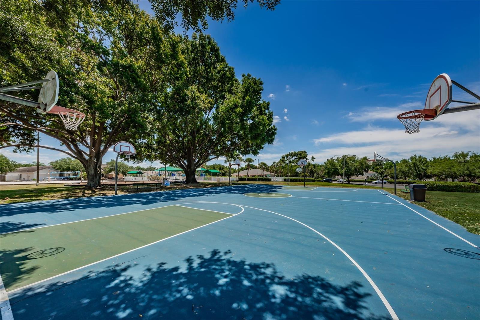 25841 CRIPPEN DR, LAND O LAKES, FL — photo 53