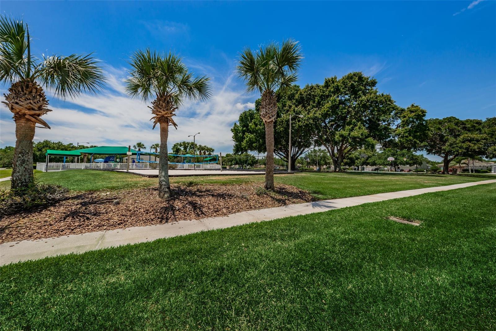 25841 CRIPPEN DR, LAND O LAKES, FL — photo 57