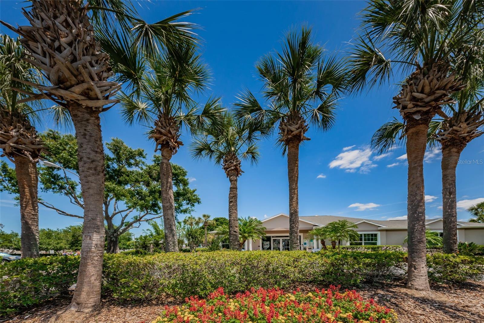 25841 CRIPPEN DR, LAND O LAKES, FL — photo 58
