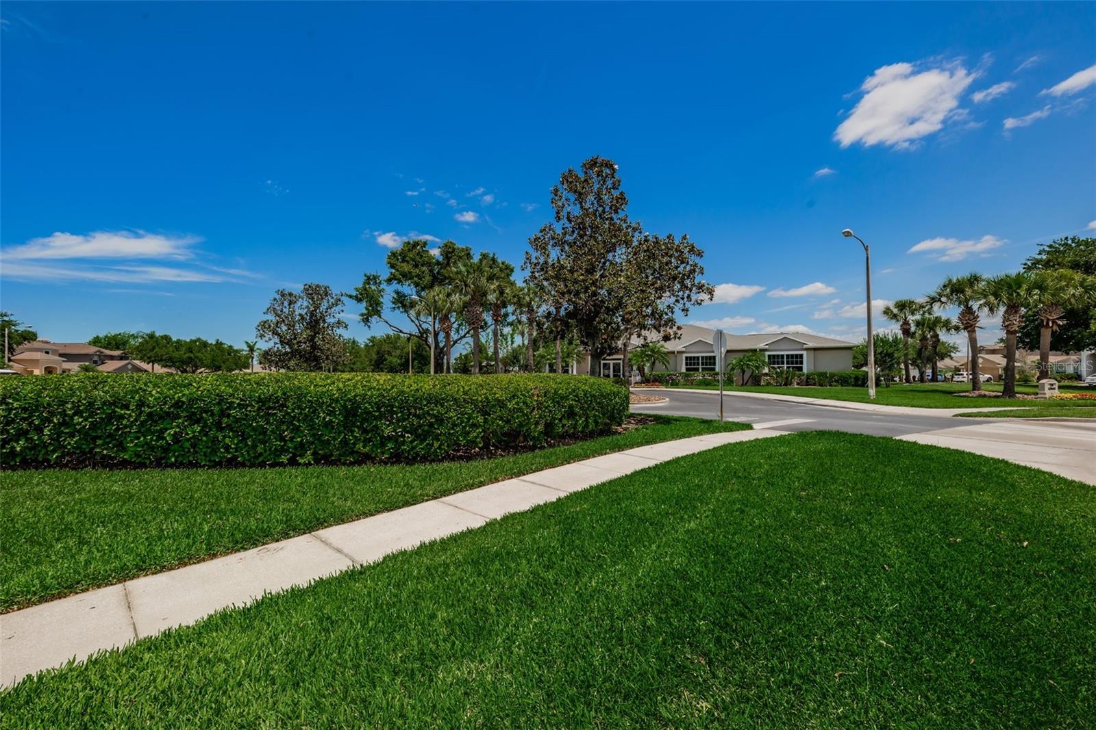 25841 CRIPPEN DR, LAND O LAKES, FL — photo 59