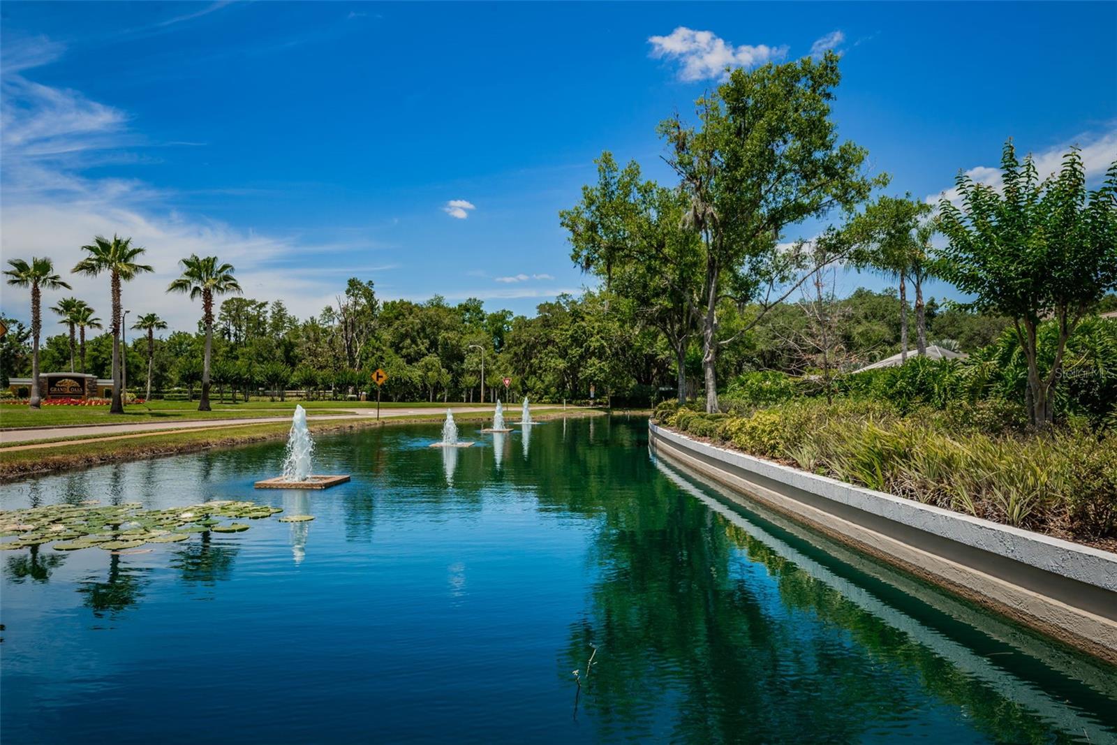 25841 CRIPPEN DR, LAND O LAKES, FL — photo 60