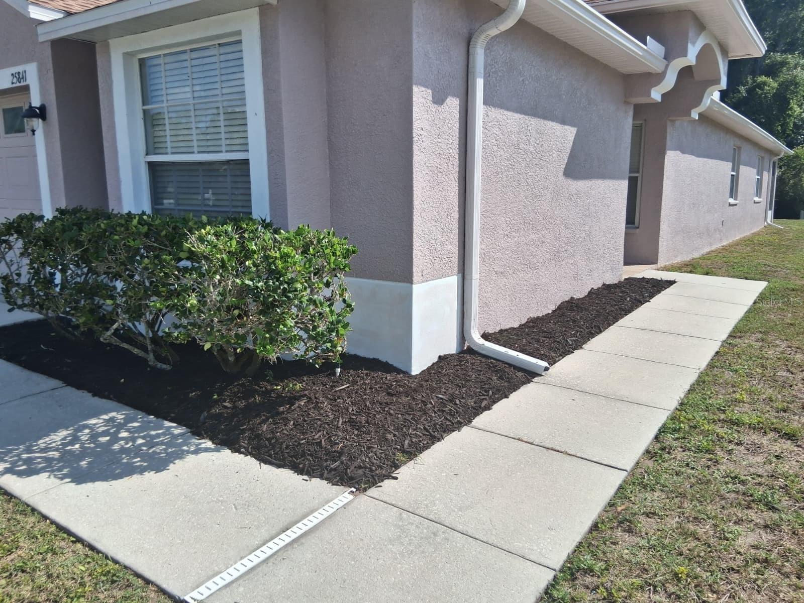 25841 CRIPPEN DR, LAND O LAKES, FL — photo 2