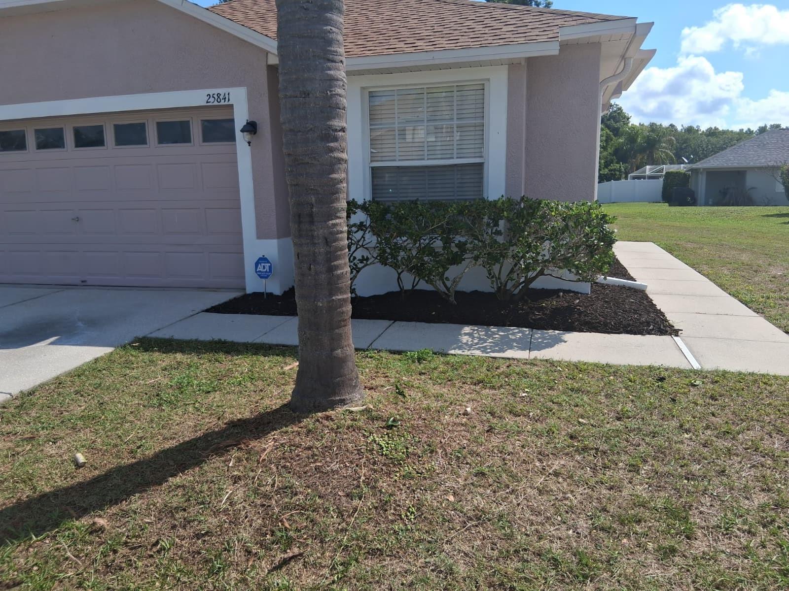 25841 CRIPPEN DR, LAND O LAKES, FL — photo 5