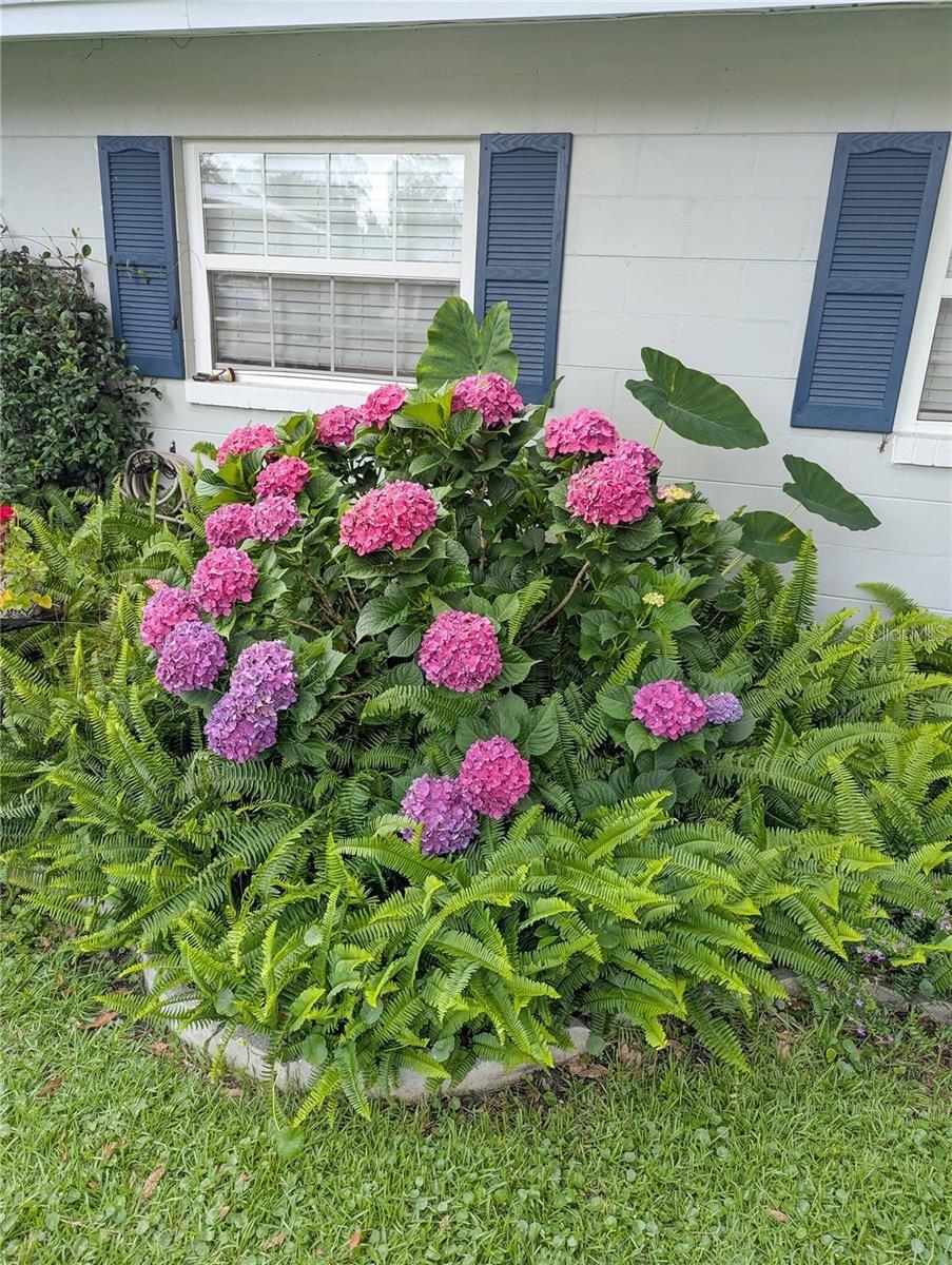 228 SE OAK HILL ST, LAKE CITY, FL — photo 6
