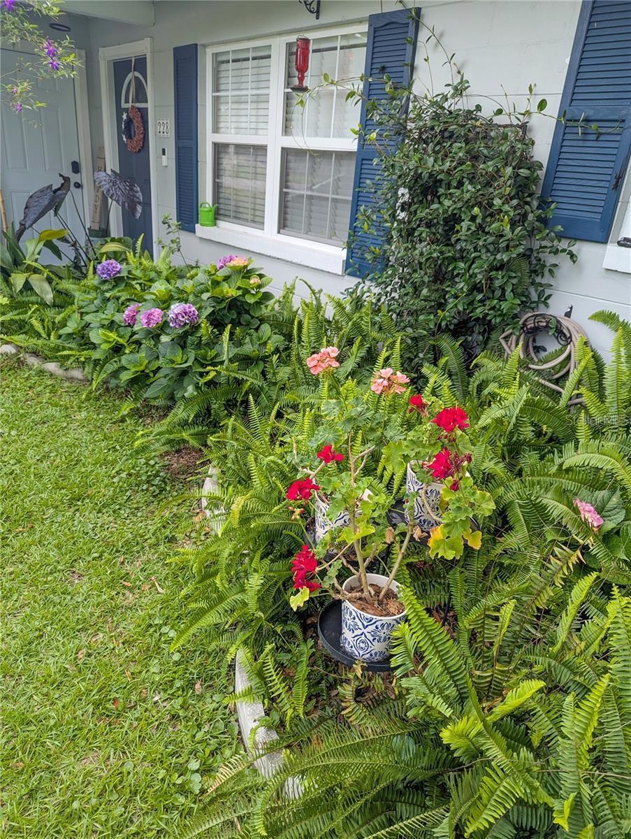 228 SE OAK HILL ST, LAKE CITY, FL — photo 7