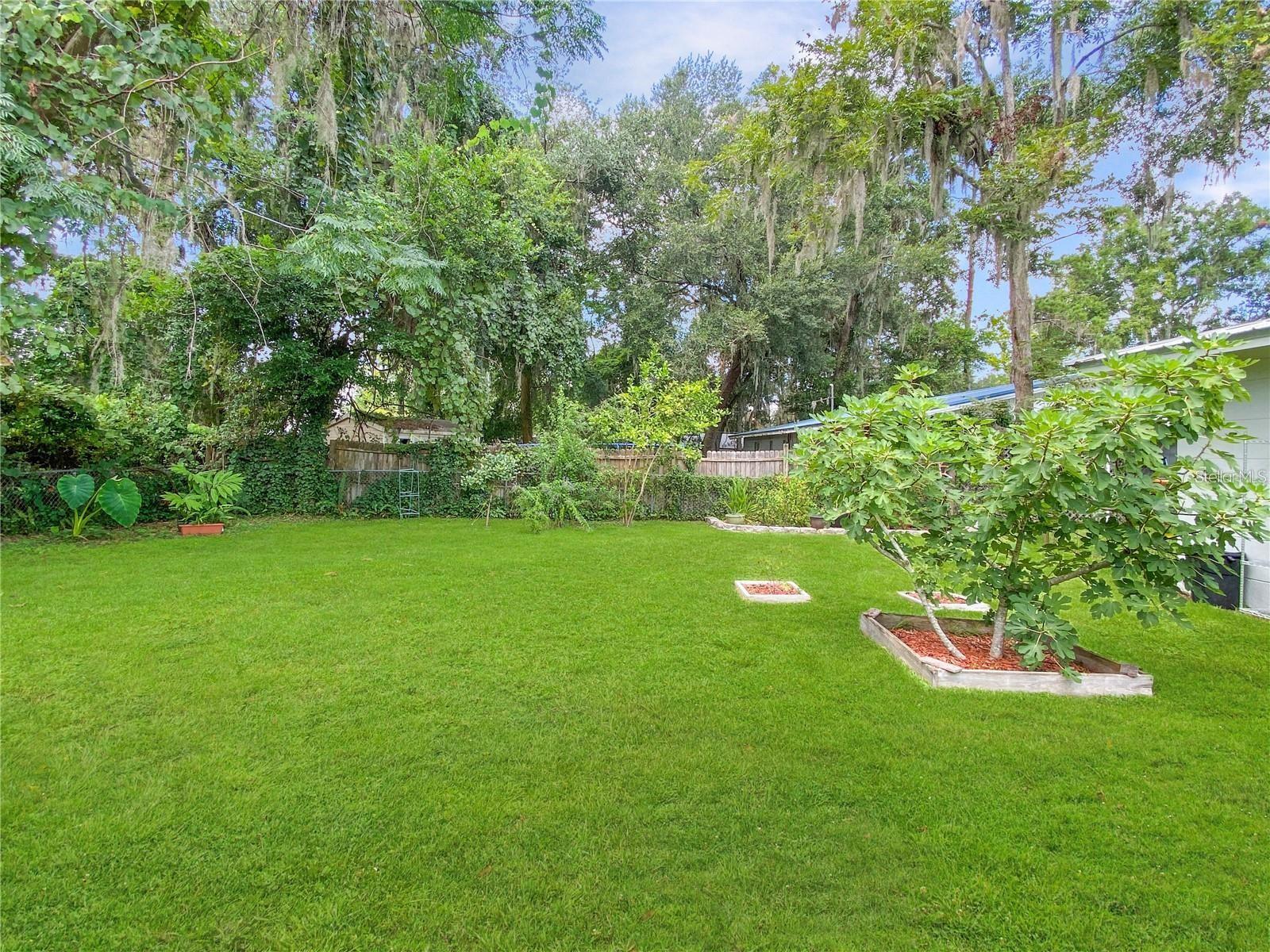 228 SE OAK HILL ST, LAKE CITY, FL — photo 38