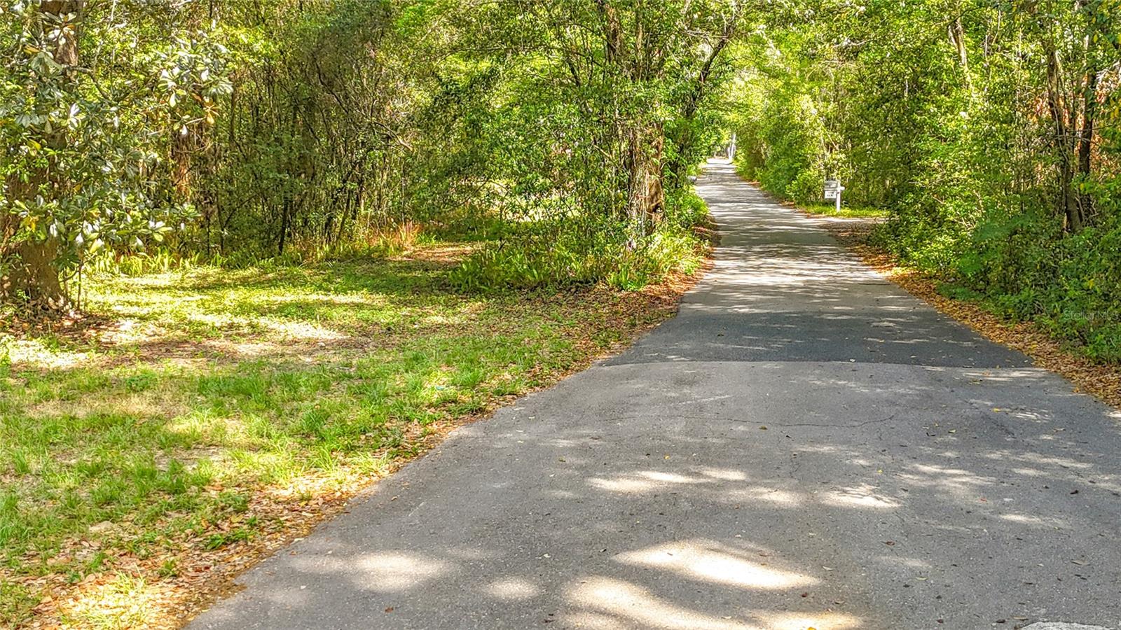 Lot 000 NW 39TH AVE, GAINESVILLE, FL — photo 3