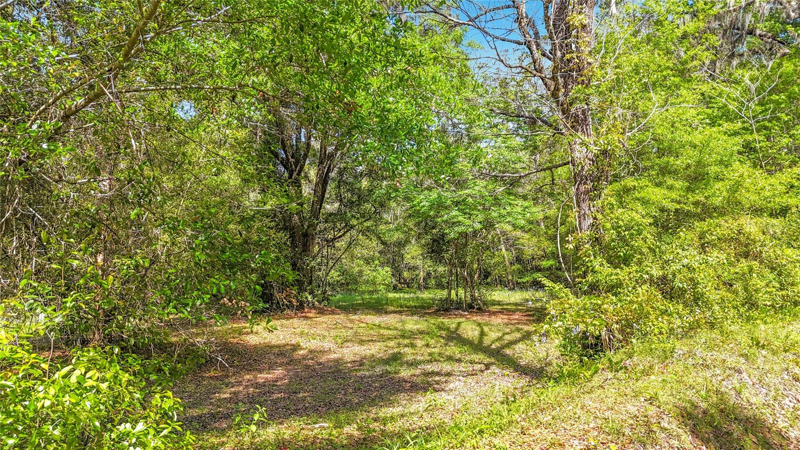 Lot 000 NW 39TH AVE, GAINESVILLE, FL — photo 8