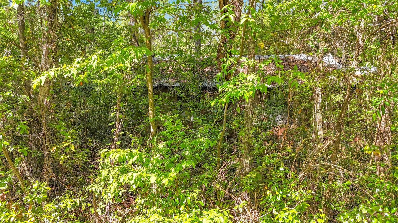 Lot 001 NW 37TH DR, GAINESVILLE, FL — photo 9