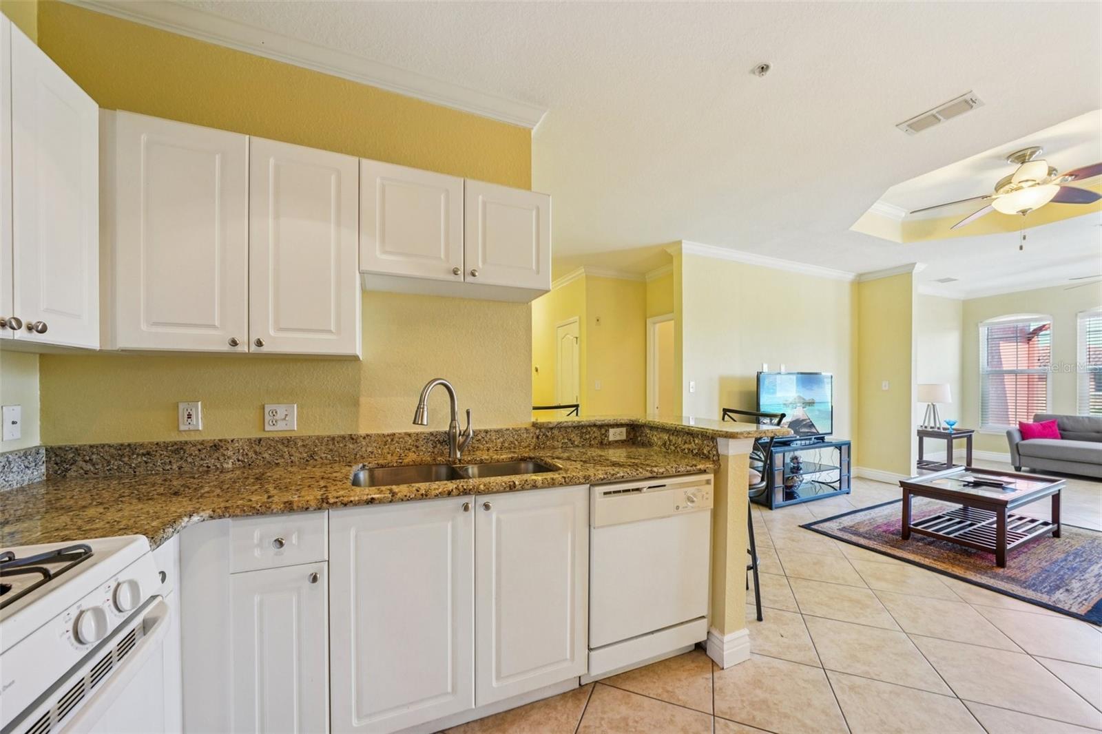 2713 VIA MURANO #233, CLEARWATER, FL — photo 8