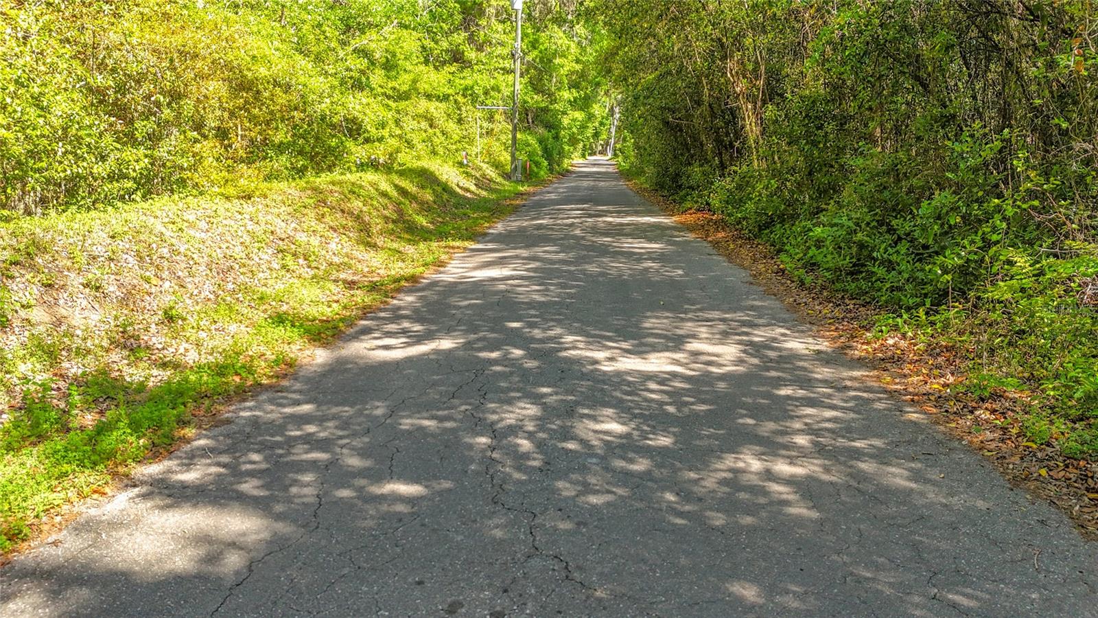 Lot 002 NW 37TH DR, GAINESVILLE, FL — photo 4