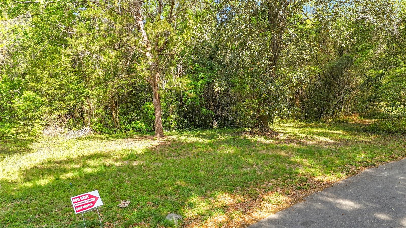 Lot 002 NW 37TH DR, GAINESVILLE, FL — photo 5