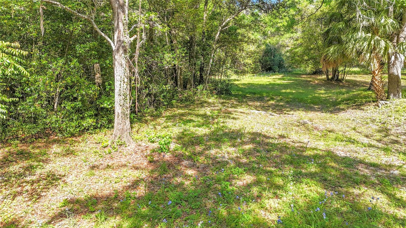 Lot 002 NW 37TH DR, GAINESVILLE, FL — photo 7