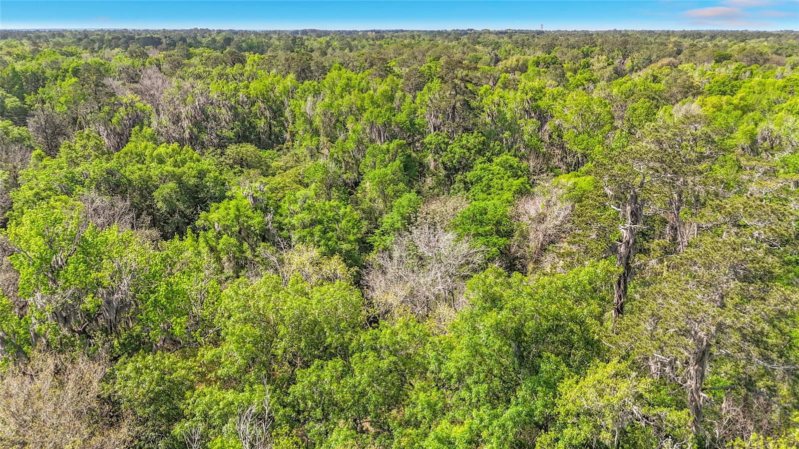 Lot 002 NW 37TH DR, GAINESVILLE, FL — photo 10