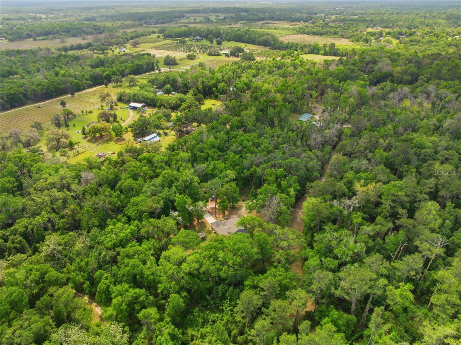 11459 TRAIL RIDGE RUN, BROOKSVILLE, FL — photo 58