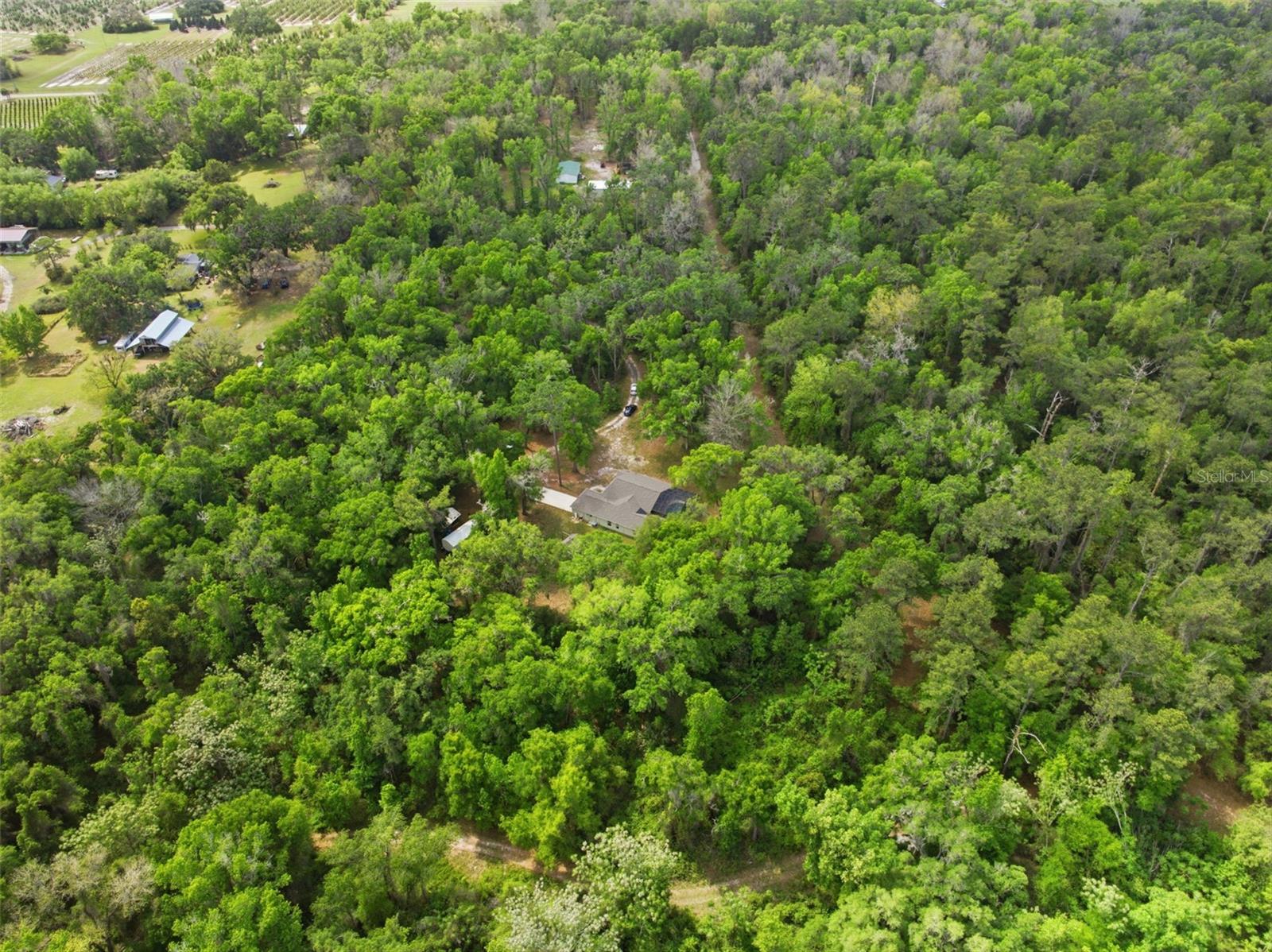 11459 TRAIL RIDGE RUN, BROOKSVILLE, FL — photo 60