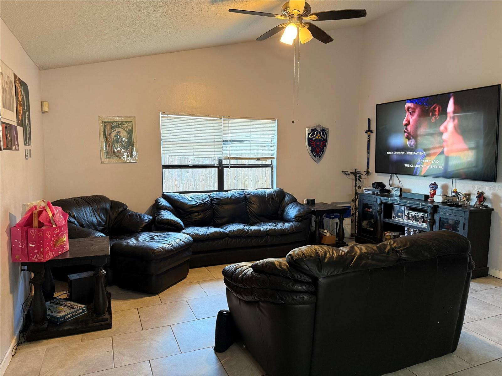 3916 MAGNOLIA LAKE LN, ORLANDO, FL — photo 3