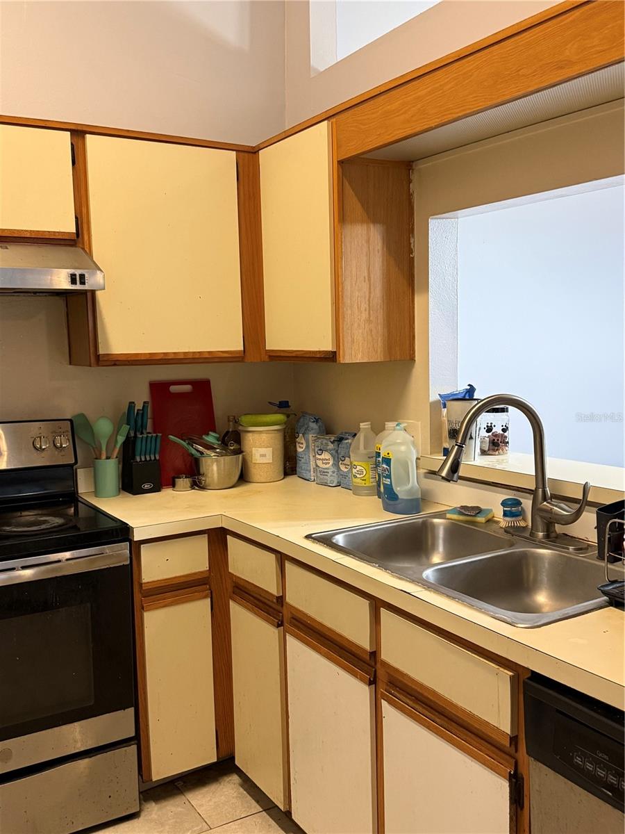 3916 MAGNOLIA LAKE LN, ORLANDO, FL — photo 5
