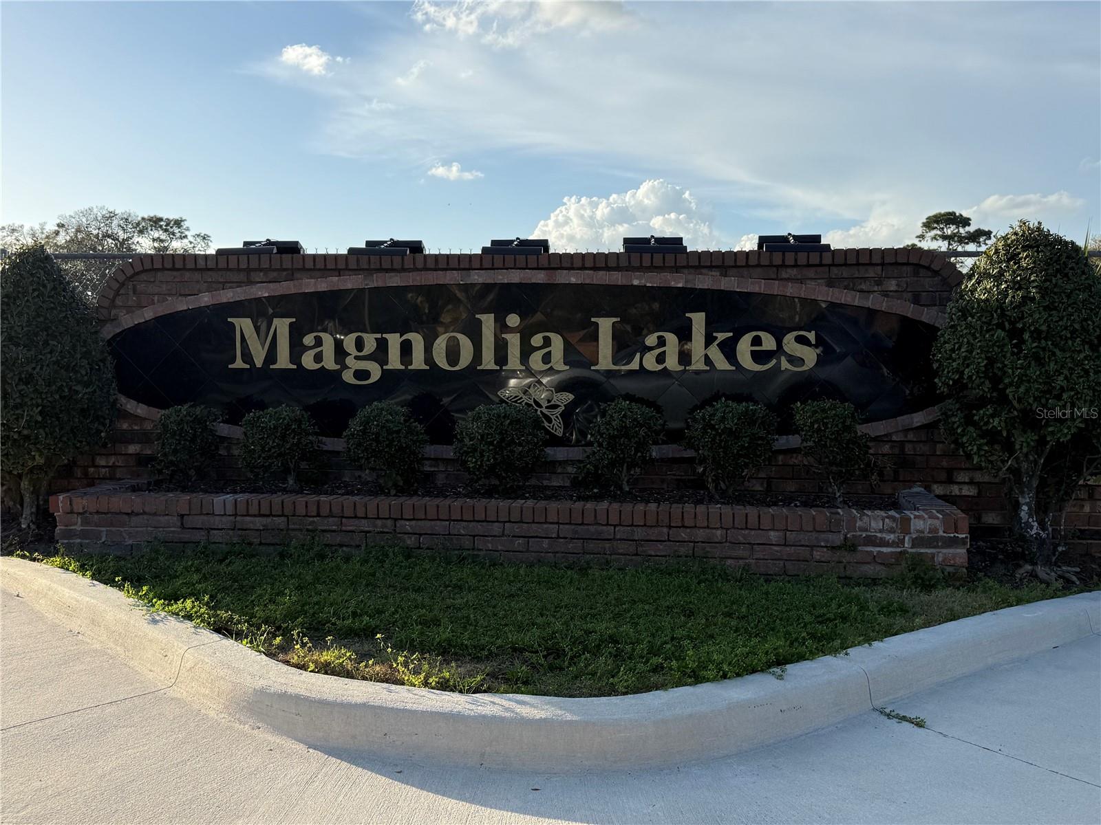 3916 MAGNOLIA LAKE LN, ORLANDO, FL — photo 2