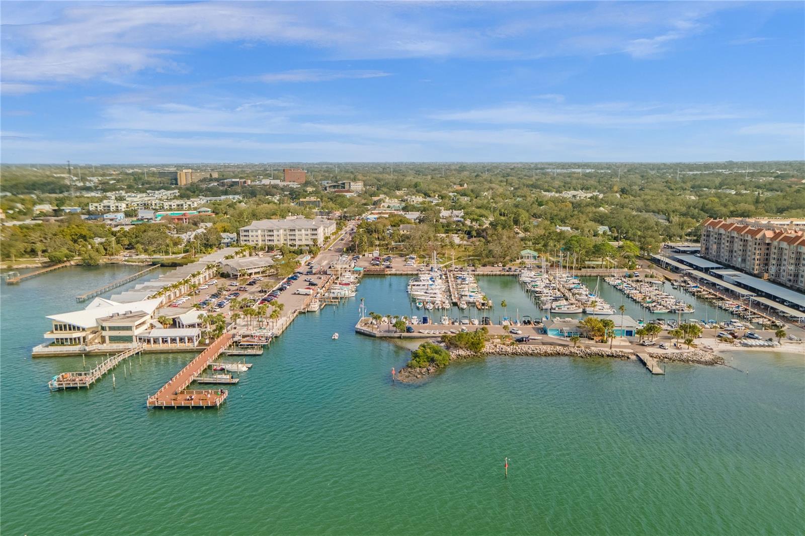 306 MARSHALL ST, CLEARWATER, FL — photo 74