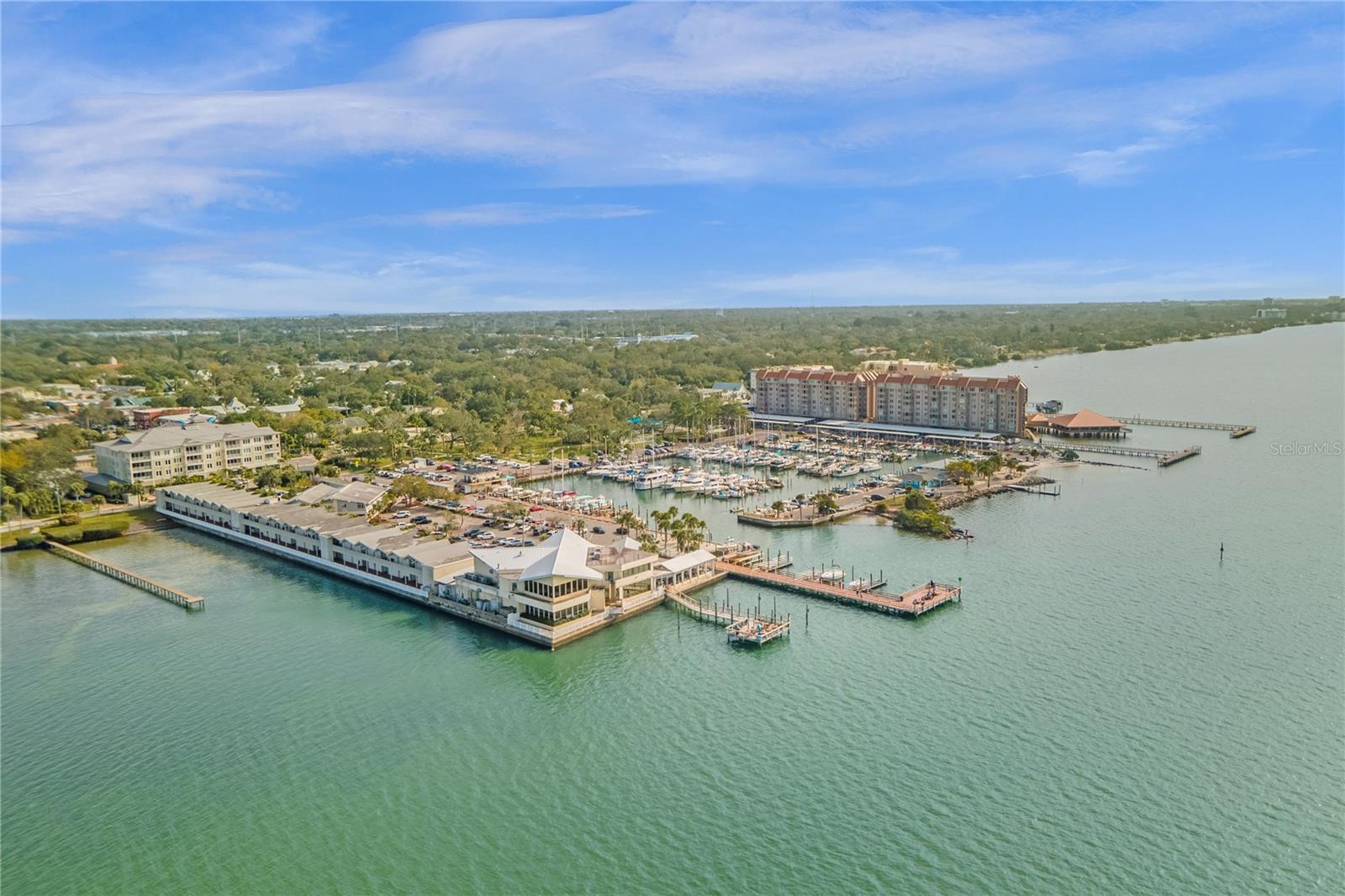306 MARSHALL ST, CLEARWATER, FL — photo 75