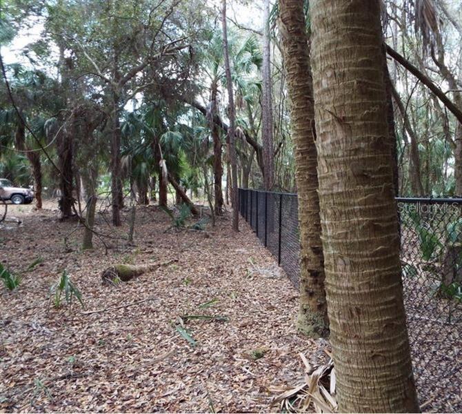 17314 WELLSLEY AVE, PORT CHARLOTTE, FL — photo 4