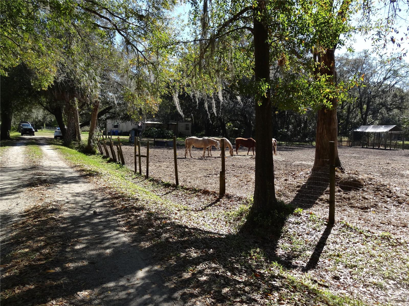 5614 WATSON, RIVERVIEW, FL — photo 7