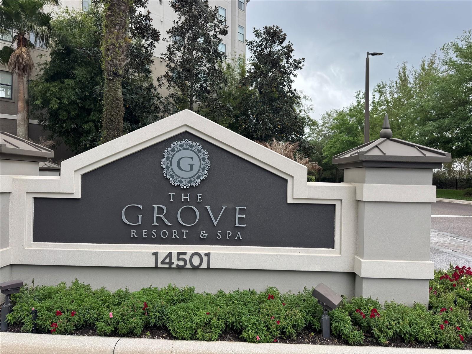 14501 GROVE RESORT AVE #1110, WINTER GARDEN, FL — photo 21