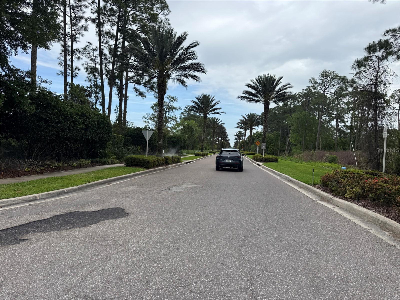 14501 GROVE RESORT AVE #1110, WINTER GARDEN, FL — photo 34