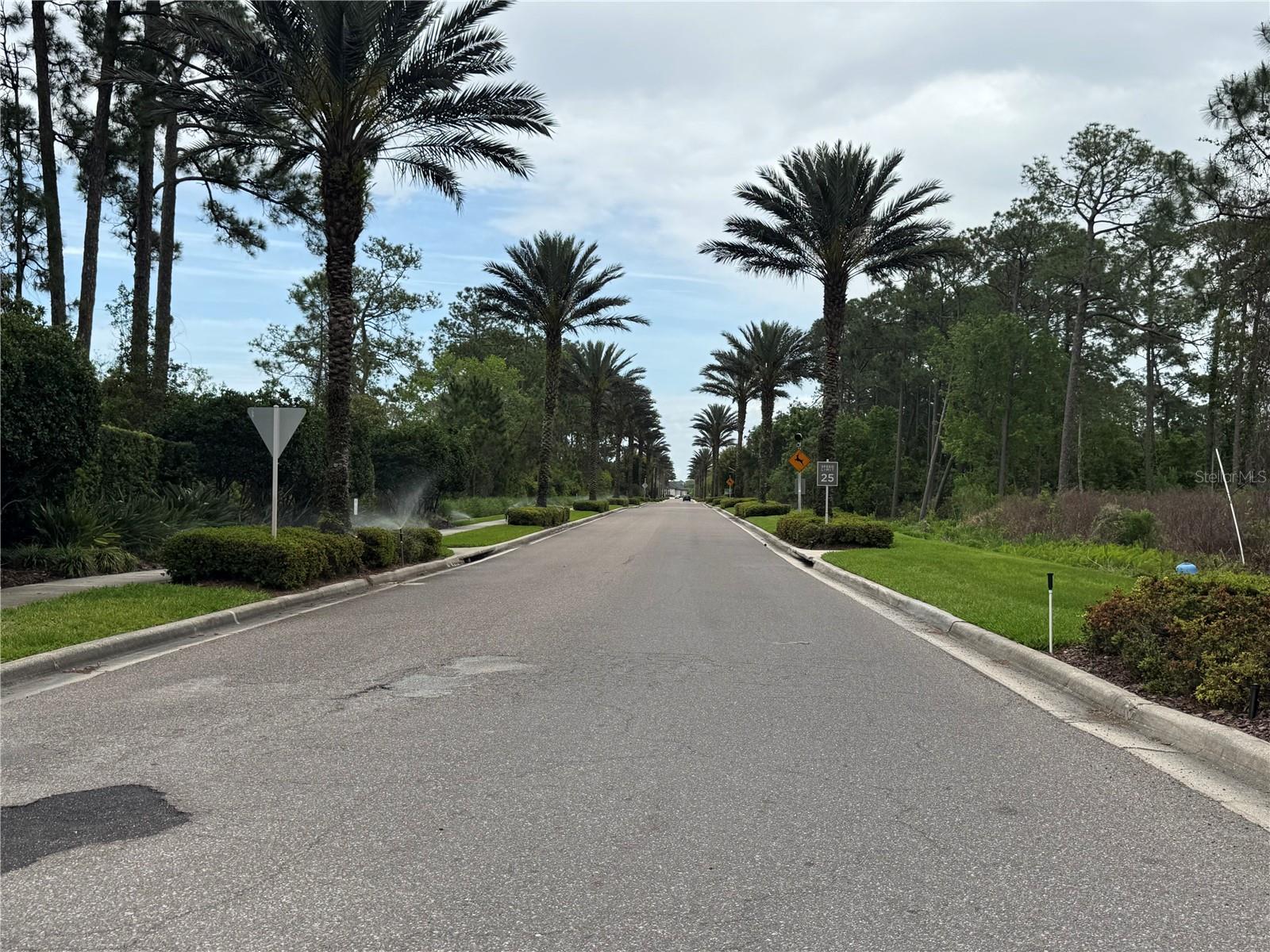 14501 GROVE RESORT AVE #1110, WINTER GARDEN, FL — photo 35